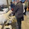 veldhoven 2024 05